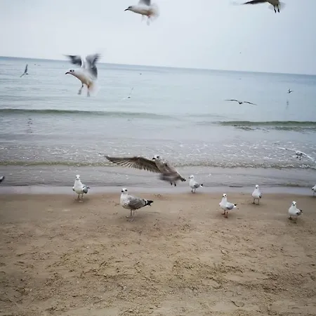 Daire Reymonta Przy Morzu Kolobrzeg