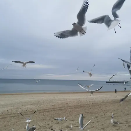 Reymonta Przy Morzu Lejlighed Kołobrzeg