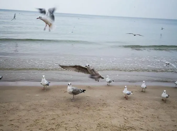 Apartamento Reymonta Przy Morzu Kołobrzeg