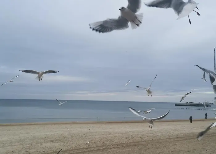 Reymonta Przy Morzu Appartement Kołobrzeg